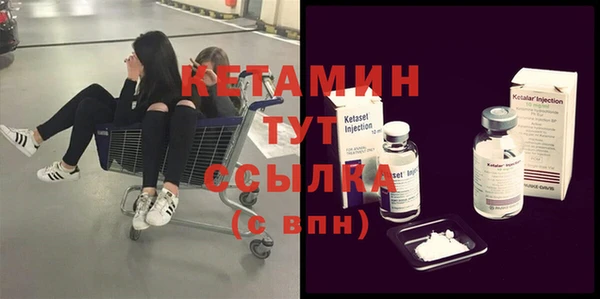шишки Абаза