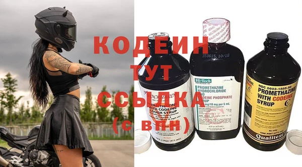 шишки Абаза