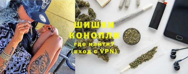 шишки Абаза