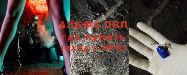 шишки Абаза