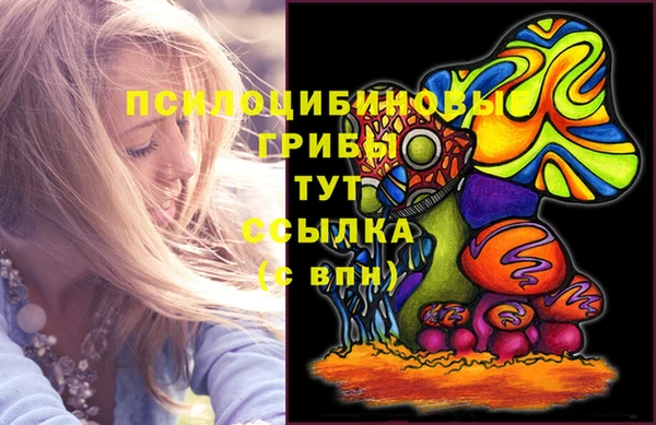 метадон Алексин