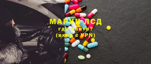 шишки Абаза