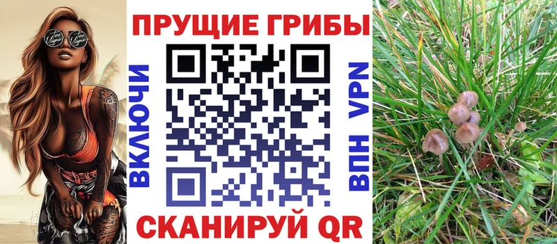 сайты даркнета как зайти  Новое Девяткино  Галлюциногенные грибы Psilocybe 